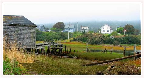 Digby Neck Ns Where We Went Whale Watching Annapolis Royal Annapolis