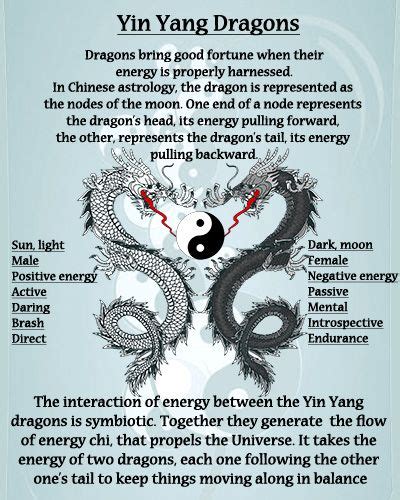 What Does The Dragon Mean In Chinese Zodiac