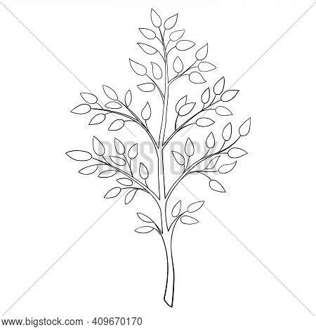 Tree Branch Vector Vector & Photo (Free Trial) | Bigstock