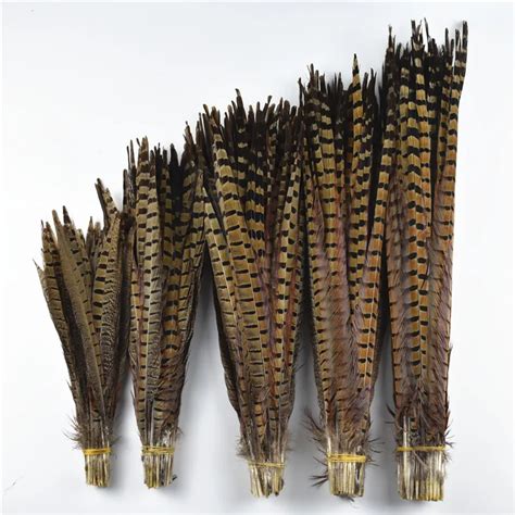 Plumas naturales de cola de faisán para manualidades 25 75CM 10 30