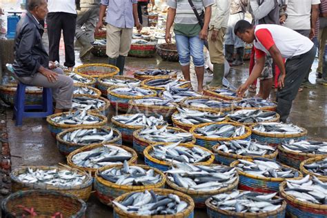 Produksi Komoditas Perikanan Antara Foto