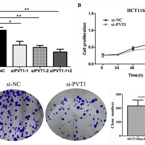 Knockdown Of Pvt1 Suppresses Proliferation And Emt Markers In Crc A Download Scientific