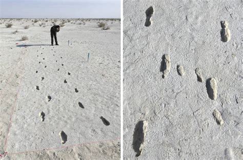 Footprint Fossils Confirm Earliest Known Humans In This Us National