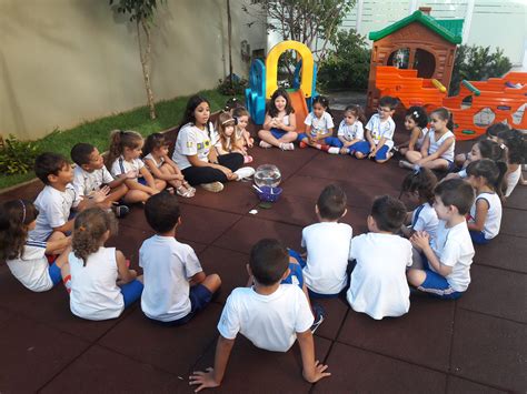 Projeto Pequenos Cientistas Surpreendentes Descobertas Escola Interação