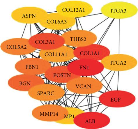 Identification Of Hub Genes Ad The Hub Genes Were Identified Using