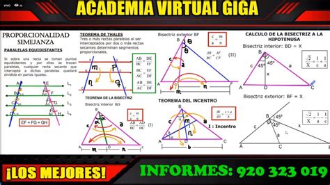 Geometria Proporcionalidad Y Semejanza Teoría Y Problemas Resueltos Youtube