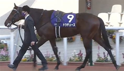 朝日杯フューチュリティステークス2021結果＆馬体診断・優勝はドウデュース 競馬で生活する僕は