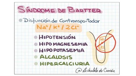 S Ndrome De Bartter Caracter Sticas La Chuleta De Carri N Udocz