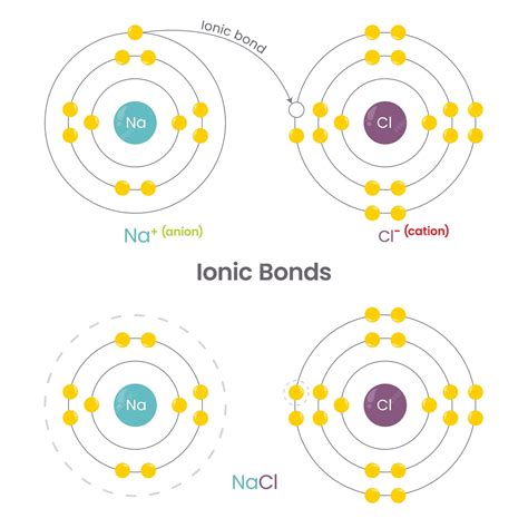 Premium Vector Ionic Bonds Chemistry Vector Illustration Infographic