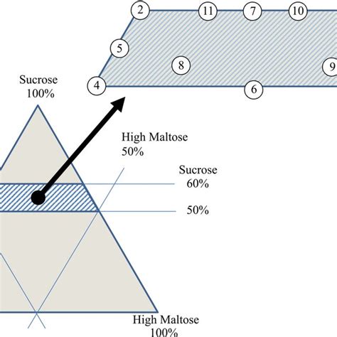 Definition Of The Feasible Region According To The Restrictions Of The Download Scientific