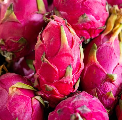 Pitaya Powder Terrasoul Superfoods