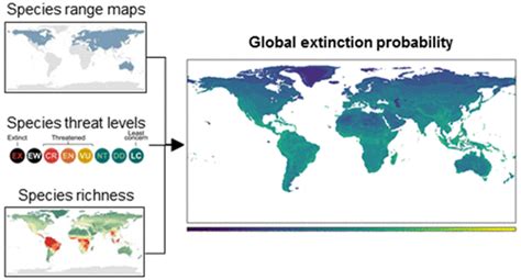 Potential Consequences Of Regional Species Loss For Global Species