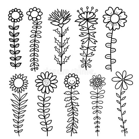 Tall Doodle Flower Line Drawings Stock Vector Illustration Of Nature