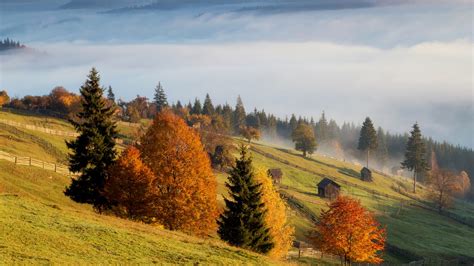 Fall-foliage-in-Romanian-countryside - Beyond Dracula