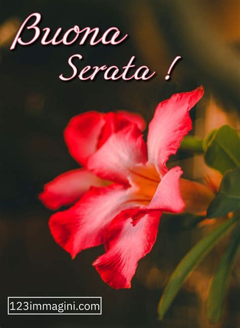 Stupenda Buona Serata Immagini Bellissime Immagini Buongiorno