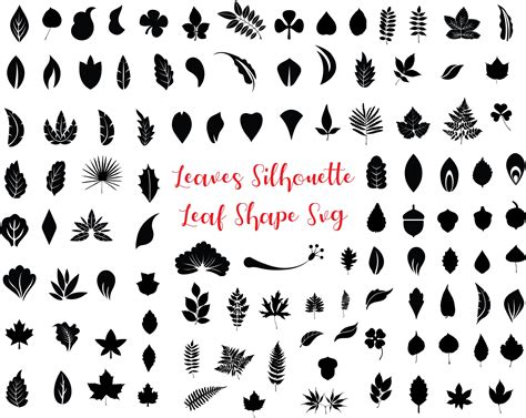 Buy Leaf Svg Bundle Leaf Shape Silhouette Svg Leafs Svg Leaves Svg