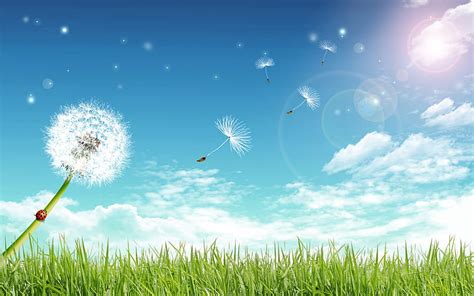 Hd Wallpaper The Wind Carries Dandelion Grass Wallpaper Flare