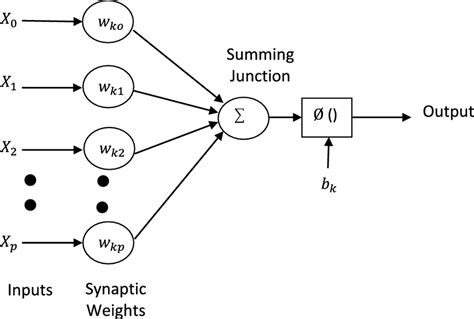 Architecture of artificial neural network | Download Scientific Diagram