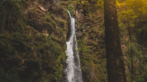 Waterfalls in Forest · Free Stock Photo