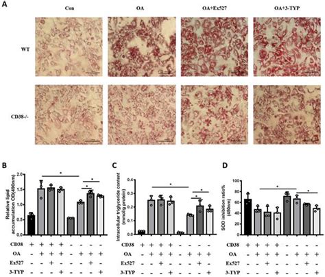 Cd38 Deficiency Protects Mice From High Fat Diet Induced Nonalcoholic