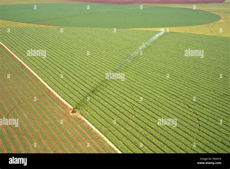 Aerial view of plantation of maize under central pivot irrigation Stock ...