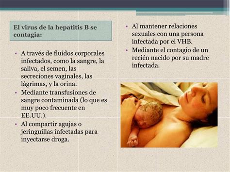 Ppt Tipos De Hepatitis Powerpoint Presentation Free Download Id