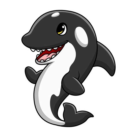 Cute killer whale cartoon on white background 35391706 Vector Art at Vecteezy