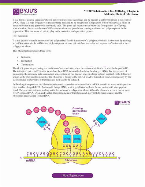 NCERT Solutions Class 12 Biology Chapter 6 Molecular Basis Of Inheritance