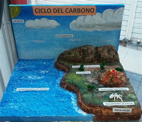 Ciclo Del Carbono Maqueta