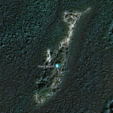 Shark Mound - Bimini in Alice Town, Bahamas (Google Maps)