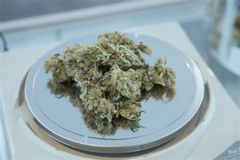 Your Ultimate Weed Guide to Common Measurements