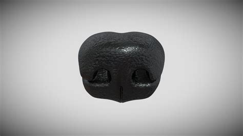 Dog´s Nose 3d Model By Pavelevap E2370bd Sketchfab