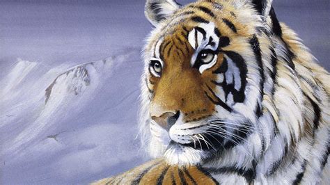 Wild Tiger Wallpapers Obtain - HD Images New