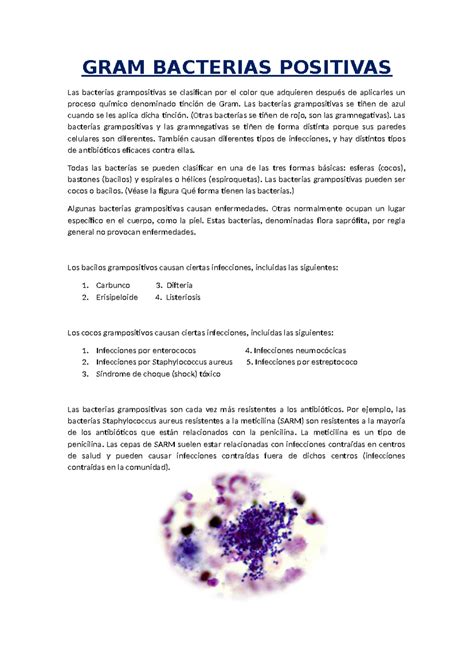 Gram Positivas Y Negativas 9