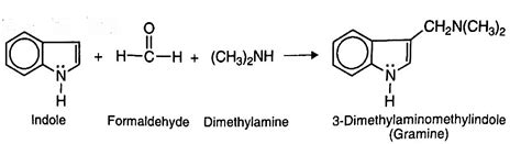 Preparation And Properties Of Indole Chemistry Optional Notes For