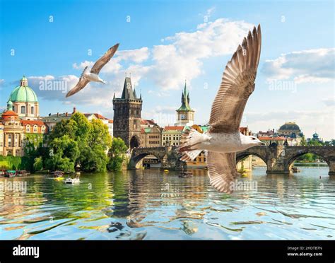 vltava river, charles bridge, vltava rivers, charles bridges Stock Photo - Alamy