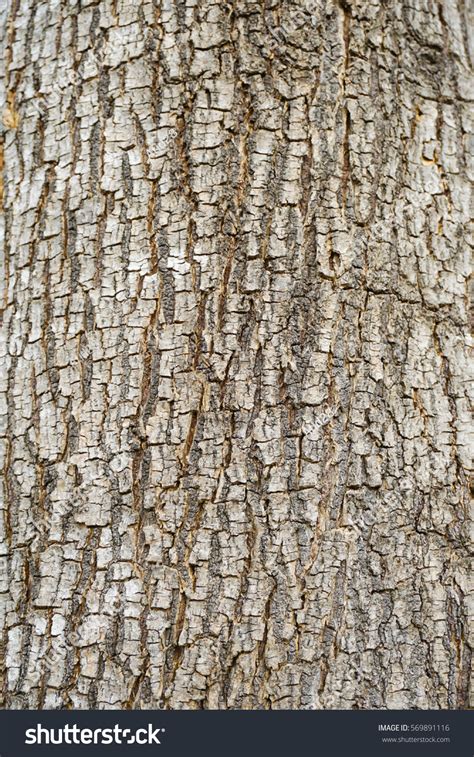 Seamless Tree Bark Background Brown Tileable Stockfoto Jetzt