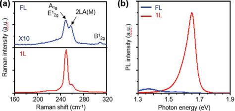 Characterization Of Wse2 Homo‐junction A Raman Spectra B Download Scientific Diagram