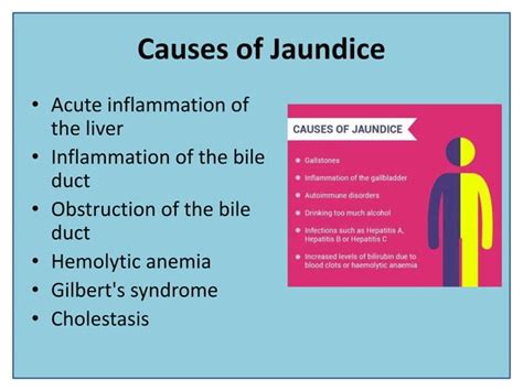 Natural Remedies for Jaundice Treatment | PPT