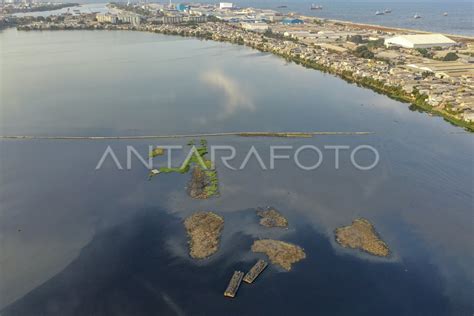 Debit Air Di Waduk Pluit Alami Penyusutan ANTARA Foto