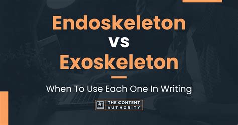 Endoskeleton vs Exoskeleton: When To Use Each One In Writing