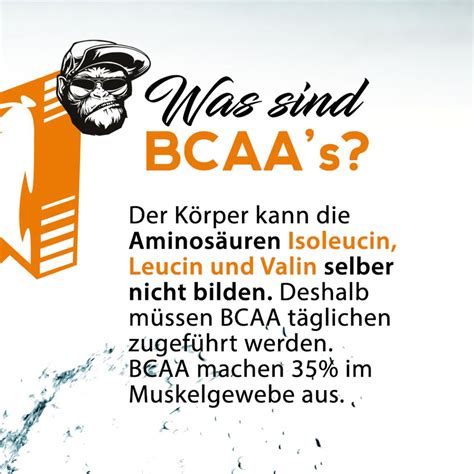 Bcaas Enthalten Mit Leucin Isoleucin Und Valin Der Wichtigsten