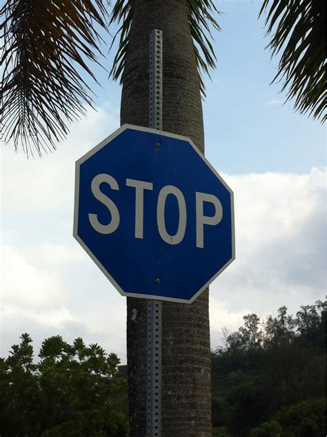 Blue stop sign. : mildlyinteresting