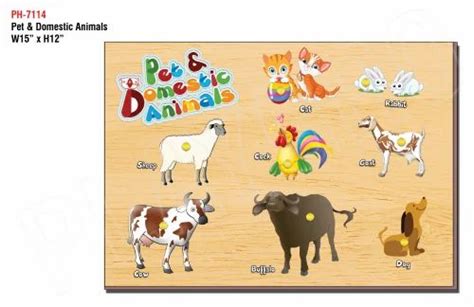 Pet & Domestic Animals-Wooden Tray at Rs 390/piece in New Delhi | ID: 26933012355