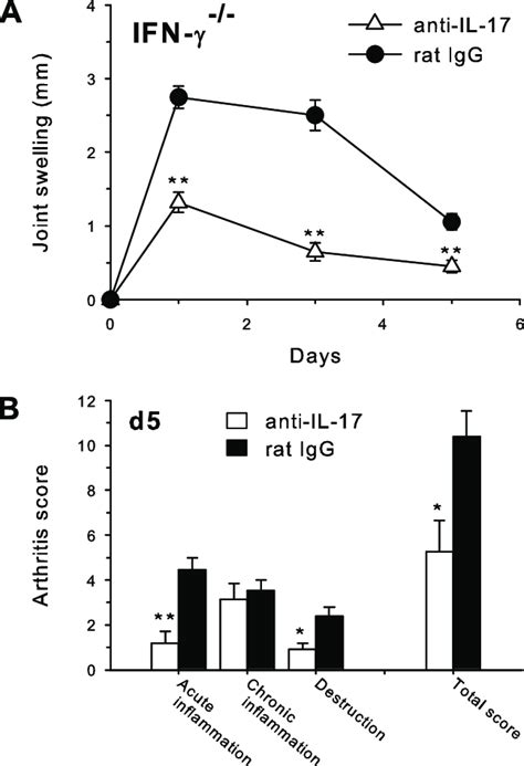 Effects Of Il Neutralization In Ifn Mice With Acute Aia In Ifn