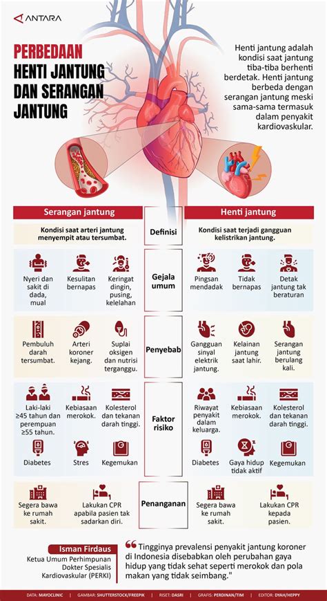 Perbedaan Henti Jantung Dan Serangan Jantung Infografik Antara News