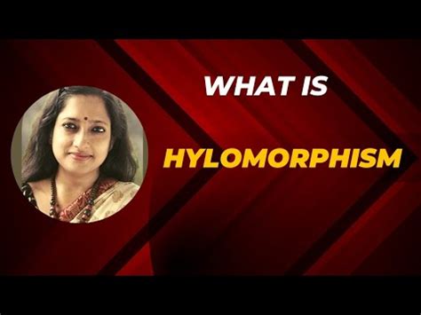 Hylomorphism - YouTube