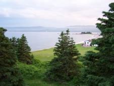 Driftwood Lodge