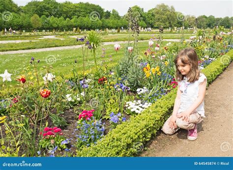 Enfant Regardant Des Fleurs Dans Le Printemps Photo Stock Image Du