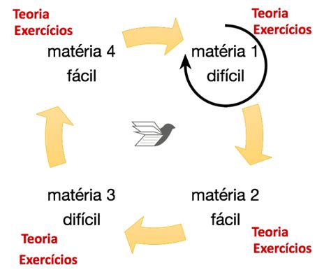 Como Montar Um Ciclo De Estudos Resumov